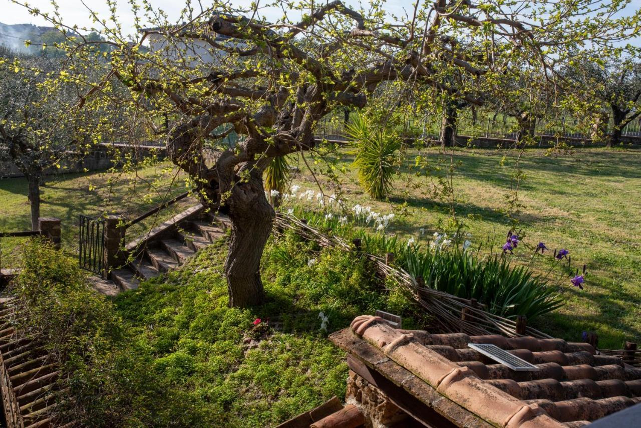 La Ginestra Hotel Castel San Lorenzo Екстериор снимка